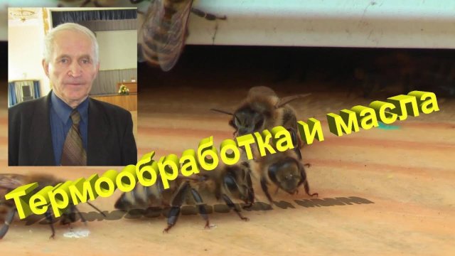 Профессор Кашковский: Добавляют ли в термокамеру различные масла?