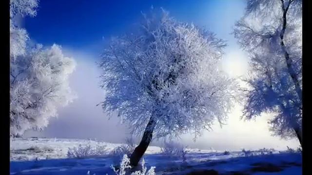С.Есенин  - Клён ты мой опавший