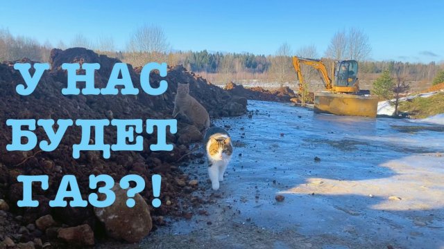 #166. Неужели дождались?! [Жизнь на своей земле]