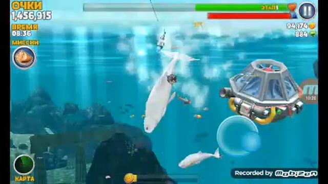 Играем в игру про акулу