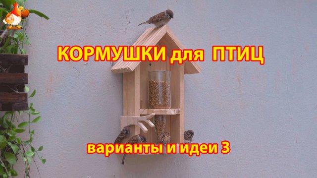 Кормушка для птиц своими руками как сделать пошагово  (3) 🪚🪛🔨 Идеи для дачи и сада❣️