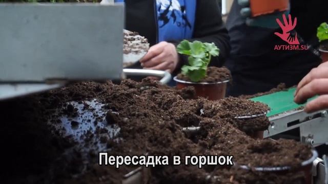 Обучающее видео "Профессия цветовод"