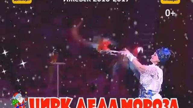 Цирк Деда Мороза