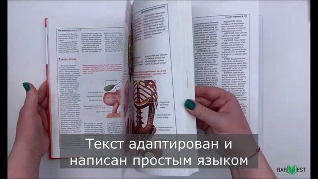 Книга Атлас анатомии человека, основы строения и физиологии