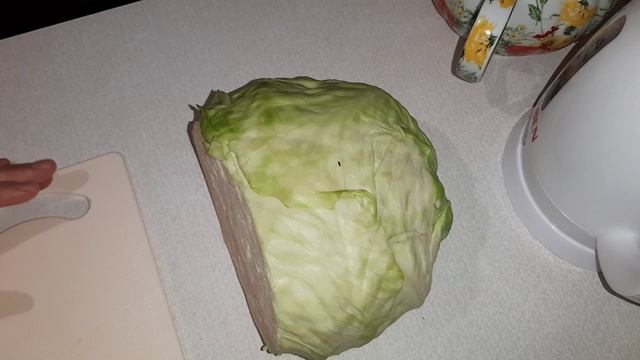 Расходы на питание. День № 21 и 22. Бризоль, мясо-капустные вареники.