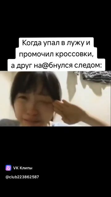 смешные истории