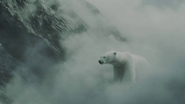 Любимые песни из кинофильмов...