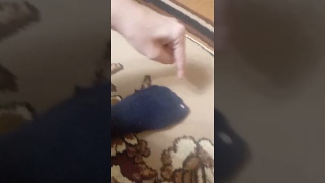 Подборка мемов Анонимусов из ТикТока