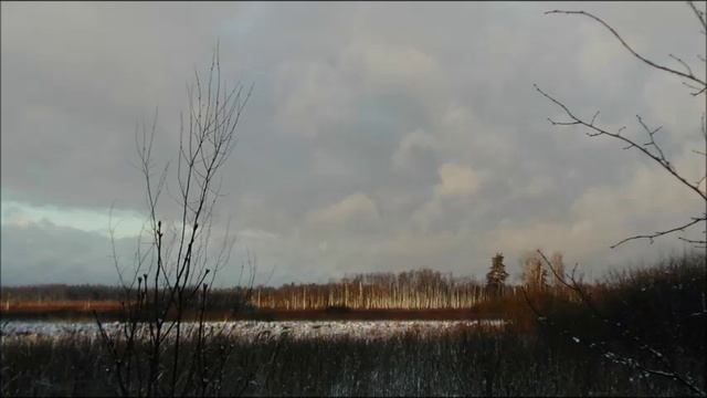 Иеромонах Роман. «На чужой сторонушке...»