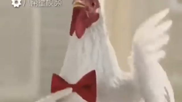 Кококо