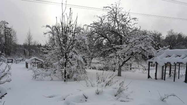 Февраль 2018 огород в снегу