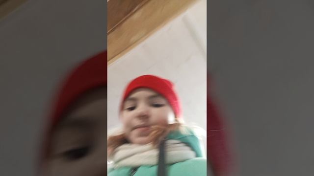 каток 1