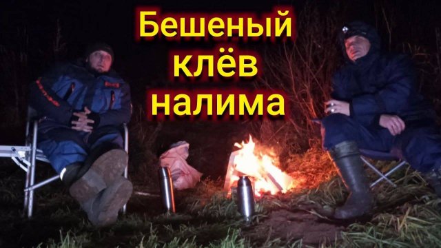 Расставил ДОНКИ на новом месте и был в ШОКЕ! Здесь налима немерено!