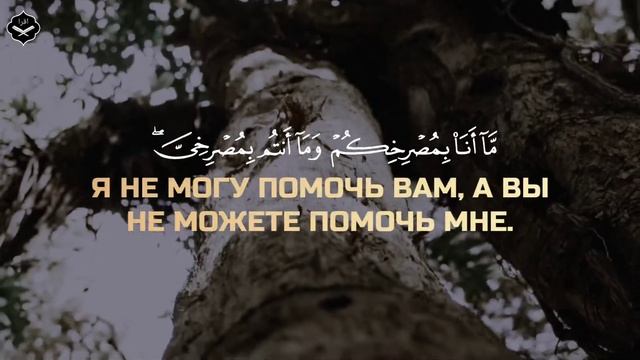 Сура «Ибрахим»
Чтец: Абдуллах Хумейд