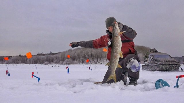 КТО БЫ МОГ ПОВЕРИТЬ! ОКУЕННАЯ РЫБАЛКА С НОЧЁВКОЙ и ДИКИЙ ЖОР! АЭРОЛОДКА, ПАЛАТКА, ЖЕРЛИЦЫ!