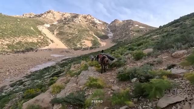 04.06.2023 Невероятная миграция иранских кочевников. Путешествие на горную вершину в 2023 году (ЧАСТ