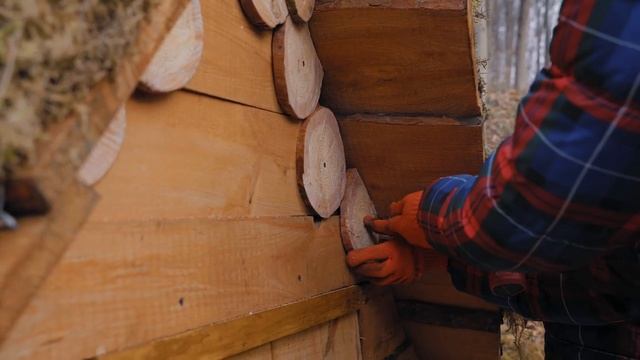 СДЕЛАЛИ РЕМОНТ В ХИЖИНЕ ВОЗЛЕ НАШЕГО ПРУДА! ( ЧАСТЬ 2 )