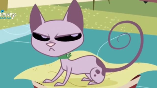 Прямой эфир Диснея Кит виси Кэт