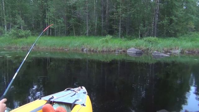 По озёрам Карелии к морю Белому.  Часть 2.  Щука Попова озера.