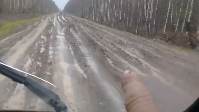 Дорога на кедровый