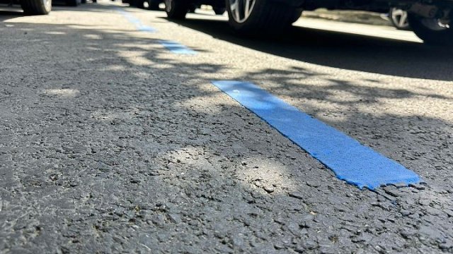 О чем говорит синяя разметка на дороге: эксперт разъяснил все нюансы