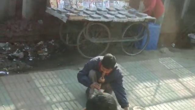 印度的耍蛇人