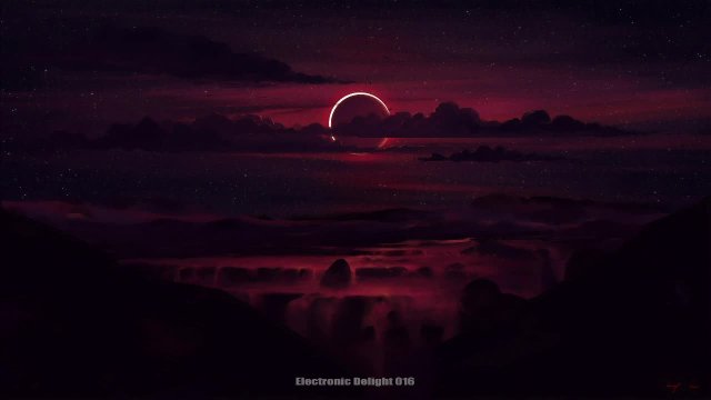 Electronic Delight 016