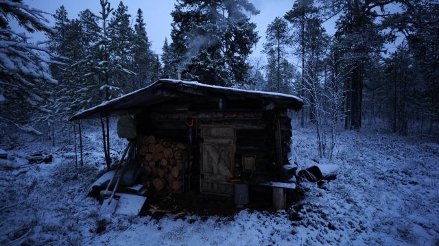 Такой рыбалки я не помню,дикий жор окуня. Живу в старой избе.