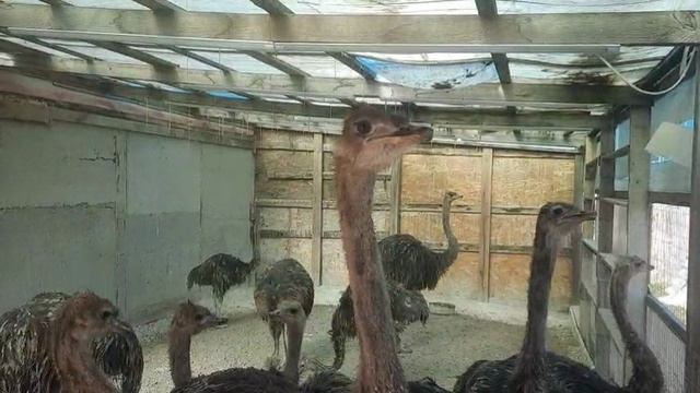 Крымская жизнь!Наши праздники и будни.