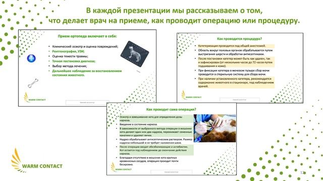 Презентация теоретического курса