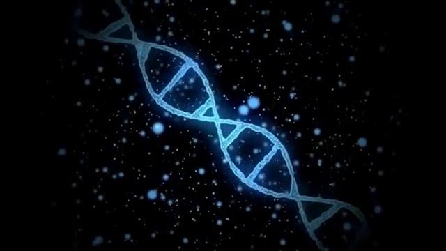 МАТРИЦА ГАРЯЕВА*ОЧИЩЕНИЕ ОРГАНИЗМА*КВАНТОВАЯ ДЕТОКСИКАЦИЯ