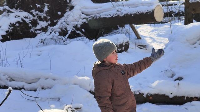 Сказочное путешествие в зимнем лесу под красивую музыку.