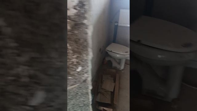 номер объекта в базе Этажи 11782756