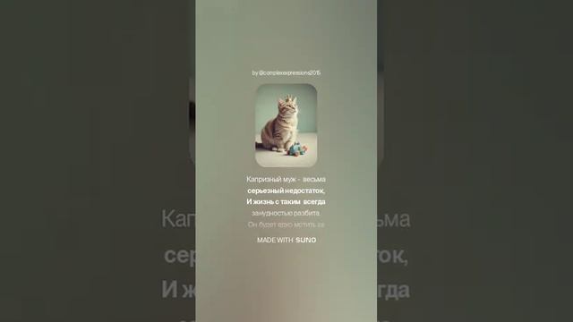 чемодан без ручки