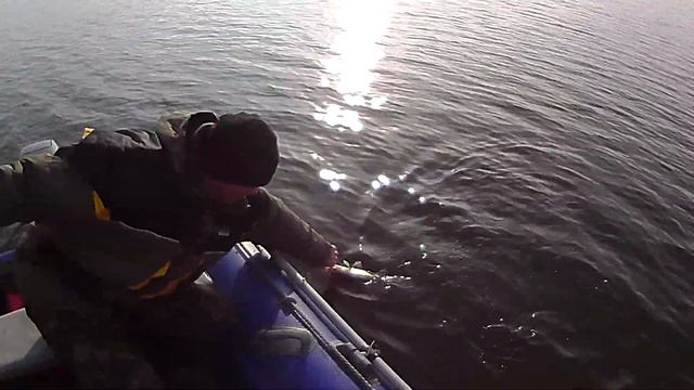 У водокачки