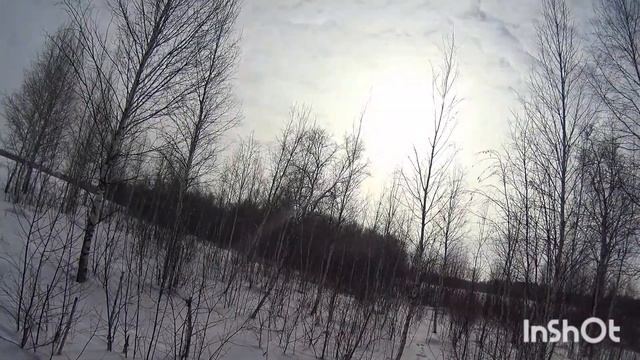 #Охота на зайца в Черепановском районе Новосибирской области