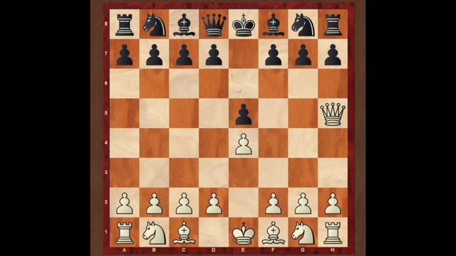 Шахматы для начинающих. Детский мат