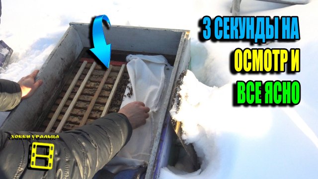 КАК ЗИМУЮТ ПЧЕЛЫ В ДЕРЕВЯННЫХ И ППС УЛЬЯХ? НЕ ПОРА ЛИ ПОДКАРМЛИВАТЬ? ПЧЕЛОВОДСТВО 25-03