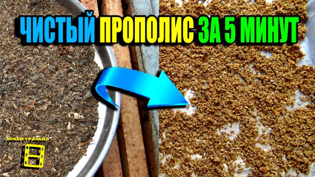 ФЛОТАЦИЯ – СУПЕР СПОСОБ ОЧИСТКИ ПРОПОЛИСА! ПРИМЕНЕНИЕ ПРОПОЛИСА. ПЧЕЛОВОДСТВО 25-01