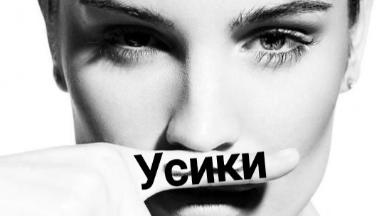 "УСИКИ" авторская песня под гитару Макс Гитарист