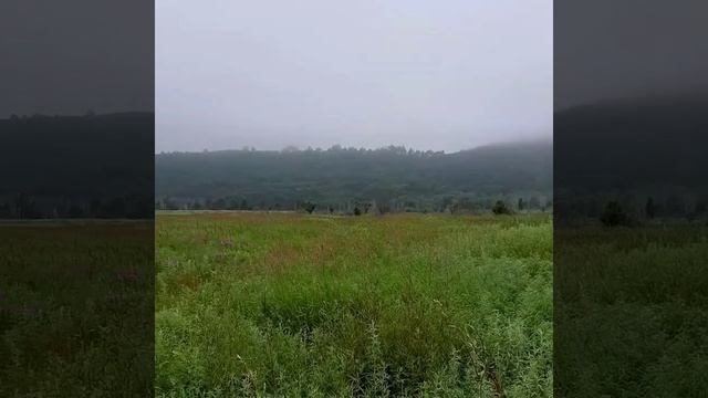 симфония.mp4