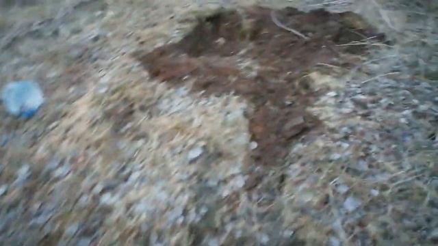 Все из за метало копа.По следам Макса.