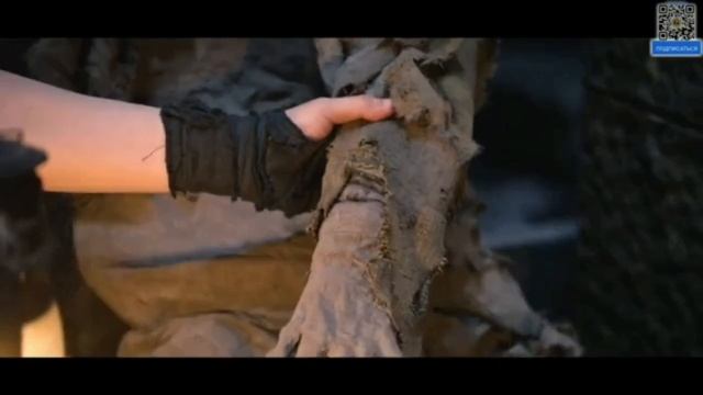 Тибетский морской цветок