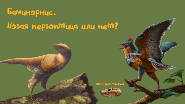 Баминорнис. Новая первоптица или нет? ПОП Палеонтология