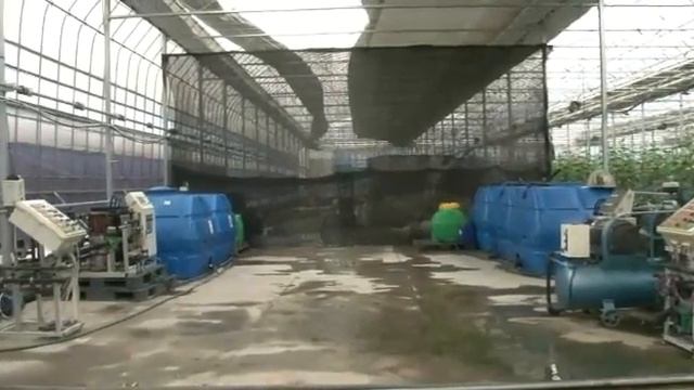 Гидропоника Теплица Масанчи
