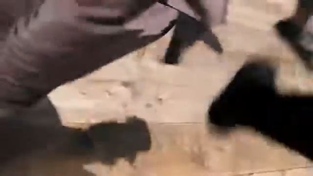 Чан чун чан