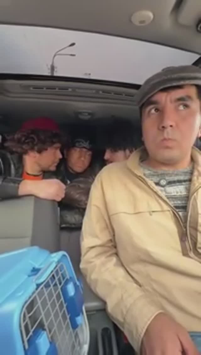 MUSHUK QISMATI (240p)
