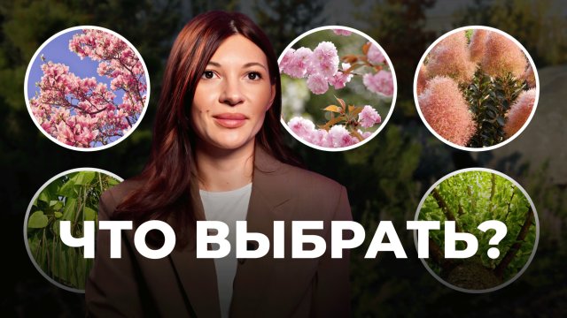 Топ-5 экзотических растений, которые приживутся на вашем участке