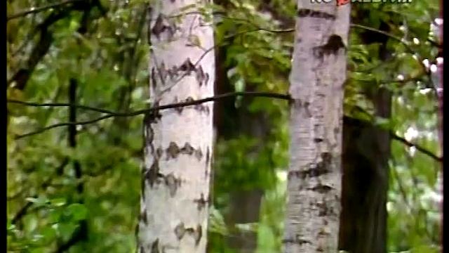 Ольга Зарубина - Печаль