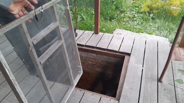 Как защитить погреб от мышей